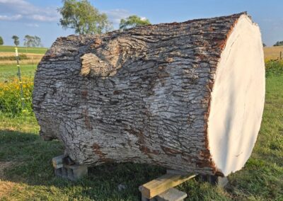 Large Log