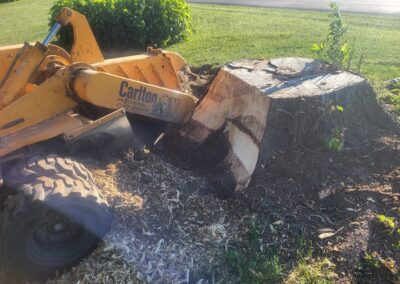 large stump grinding